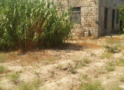 Satılır 24 sot torpaq Maştağa