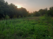 Satılır 26 sot torpaq İsmayıllı