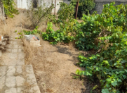 Satılır 3 sot torpaq Binə