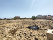 Satılır 24 sot torpaq Albalı