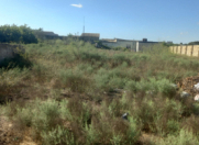 Satılır 16 sot torpaq Bilgəh