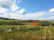 Satılır 12 sot torpaq Şamaxı