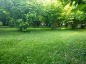 Satılır 30 sot torpaq Qəbələ