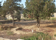 Satılır 4 sot torpaq Y.Ramana