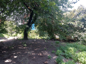 Satılır 4 sot torpaq Qəbələ