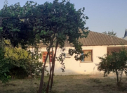 Satılır 16 sot torpaq Mingəçevir