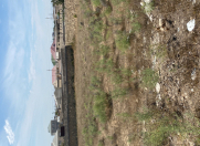 Satılır 12 sot torpaq Xaşaxuna