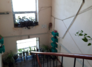 İcarəyə verilir 2 otaqlı 40 m2 köhnə tikili Montin