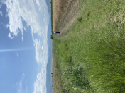 Satılır 53 sot torpaq Tovuz