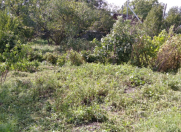 Satılır 10 sot torpaq Şəki