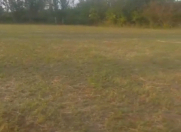 Satılır 50 sot torpaq Bərdə