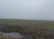 Satılır 667 sot torpaq Salyan