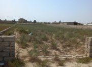 Satılır 22.5 sot torpaq Türkan