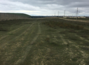 Satılır 280 sot torpaq Saray