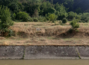 Satılır 24 sot torpaq Lənkəran