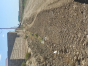 Satılır 3 sot torpaq Məhəmmədli