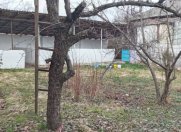 Satılır 10 sot torpaq Quba