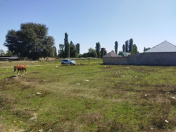 Satılır 6 sot torpaq Xaçmaz