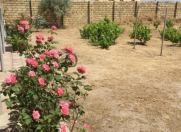 Satılır 32 sot torpaq Novxanı