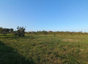 Satılır 44 sot torpaq Xaçmaz