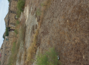 Satılır 4 otaqlı 8 m2 həyət evi Buzovna