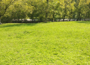 Satılır 4 sot torpaq Quba