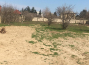 Satılır 25 sot torpaq Abşeron r.