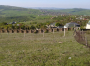 Satılır 8 sot torpaq Şamaxı