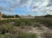 Satılır 12 sot torpaq Bilgəh