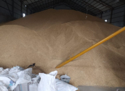 Satılır 13000 sot torpaq Şamaxı