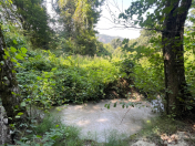 Satılır 11 sot torpaq İsmayıllı