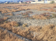 Satılır 12 sot torpaq Yevlax