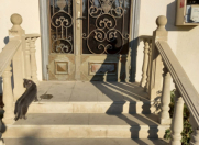 Satılır 2 otaqlı 30 m2 obyekt Məhəmmədli