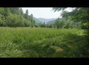 Satılır 100 sot torpaq Zaqatala