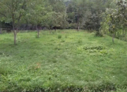 Satılır 15 sot torpaq Qusar