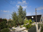 Satılır 1000 sot torpaq İmişli