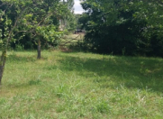 Satılır 15 sot torpaq Qəbələ