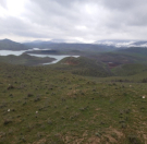 Satılır 1000 sot torpaq Şabran