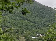 Satılır 10 sot torpaq Şamaxı