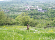 Satılır 5 sot torpaq Quba