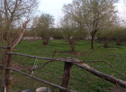 Satılır 24 sot torpaq Qəbələ