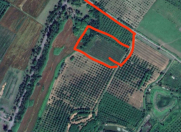 Satılır 150 sot torpaq Zaqatala