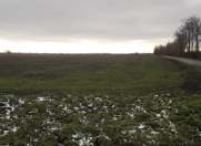 Satılır 89 sot torpaq Qusar