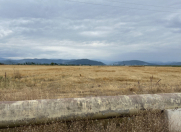 Satılır 125 sot torpaq Quba