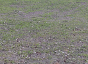 Satılır 3 sot torpaq Xaçmaz