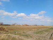 Satılır 100 sot torpaq Bərdə