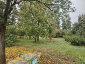 Satılır 15 sot torpaq Tovuz