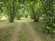 Satılır 100 sot torpaq Qəbələ