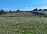 Satılır 1600 sot torpaq Oğuz