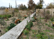 Satılır 10 sot torpaq Sumqayıt